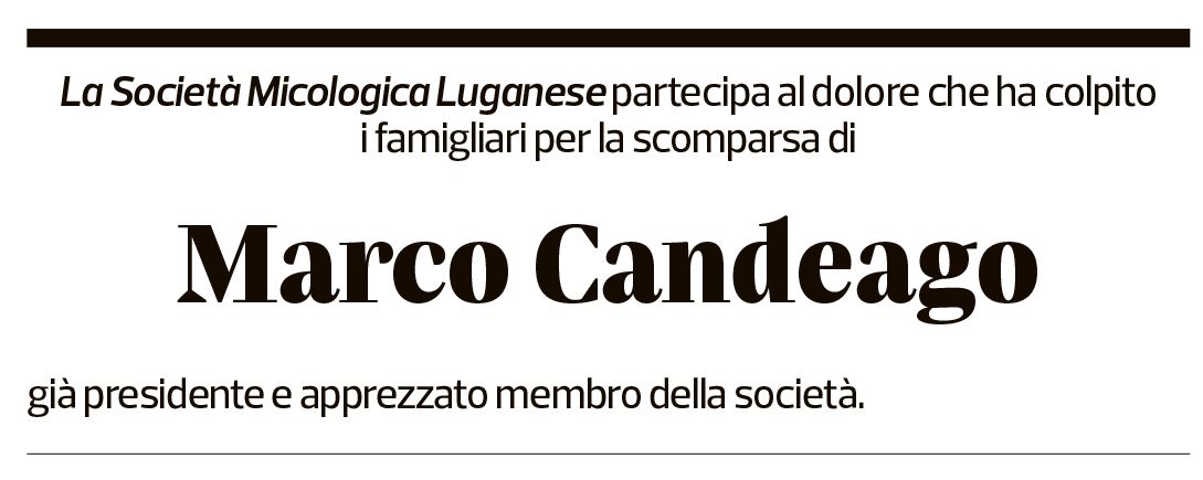 Annuncio funebre Marco Candeago