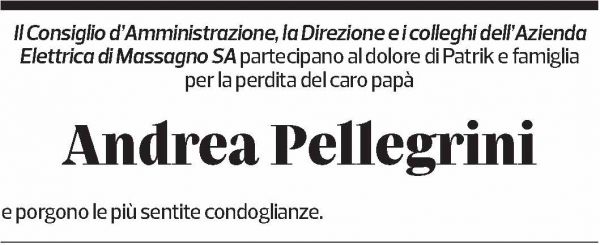 Annuncio funebre Andrea Pellegrini