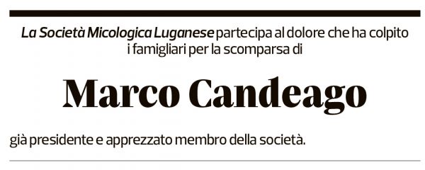 Annuncio funebre Marco Candeago