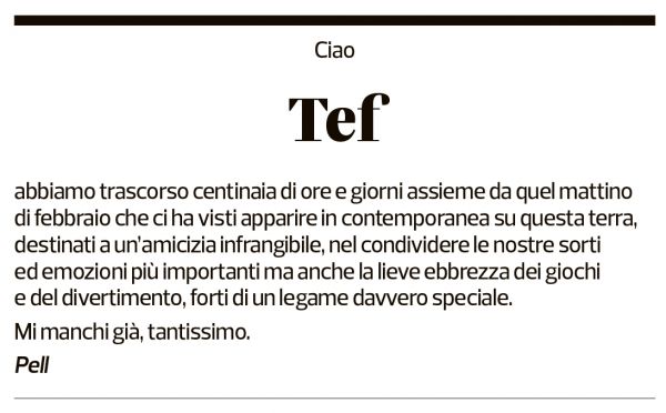 Annuncio funebre Stefano Bernasconi